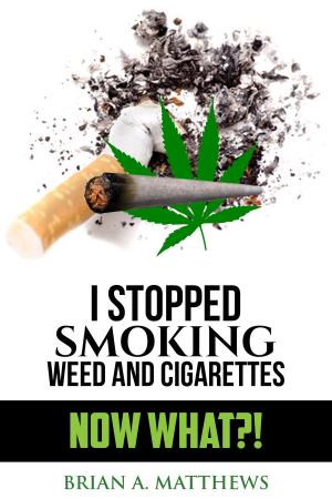 Book cover of I Stopped Smoking Weed and Cigarettes: NOW WHAT?!