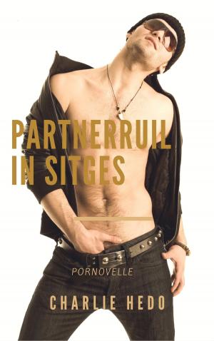 Cover of the book Partnerruil in Sitges by Charlie Hedo