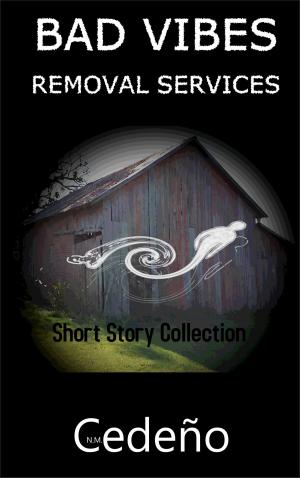 Cover of the book Bad Vibes Removal Services Short Story Collection by Nathan L. Henry