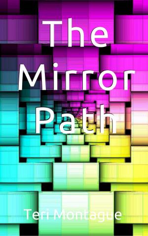 bigCover of the book The Mirror Path by 