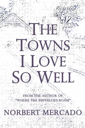 Cover of The Towns I Love So Well