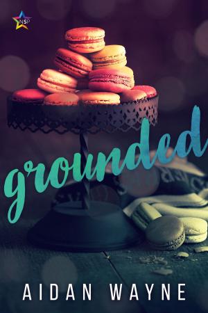 Cover of the book Grounded by Kevin Klehr