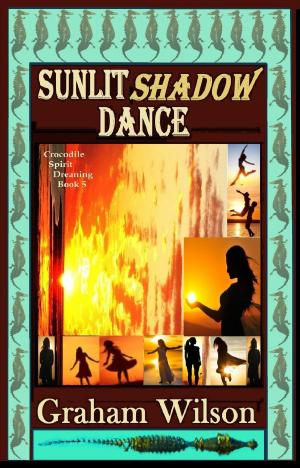 Book cover of Sunlit Shadow Dance