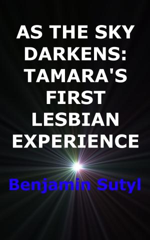 Cover of the book As The Sky Darkens: Tamara's First Lesbian Experience by Denise Skelton