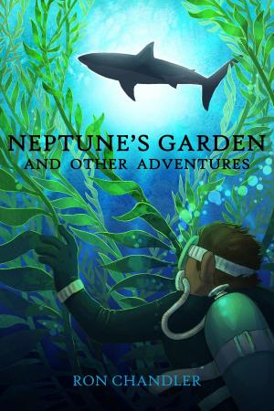 Cover of the book Neptune's Garden and Other Adventures by Philip van Wulven