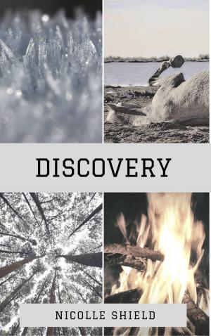 Cover of the book Discovery by Shalaena Medford