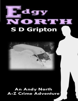 Cover of the book Edgy North by James Murphy