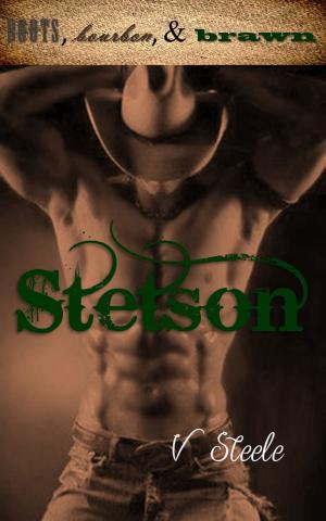 Book cover of Stetson