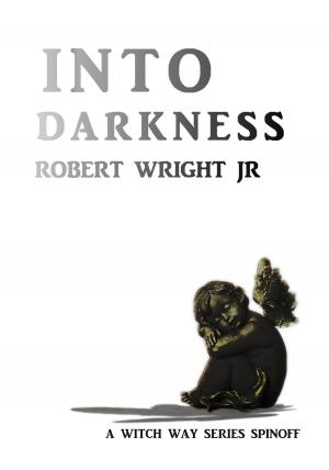 Cover of the book Into Darkness by D. R. Martin