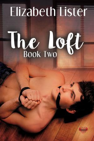 Cover of the book The Loft 2 by A.J. Llewellyn, D.J. Manly