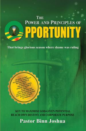 Cover of the book The Power And Principles Of Opportunity by K. L. Martin