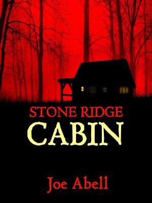 Cover of the book Stone Ridge Cabin by Peter Lloyd