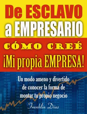 bigCover of the book De Esclavo a Empresario Cómo creé mi propia empresa by 