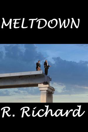 Cover of the book Meltdown by Izzy Ballard