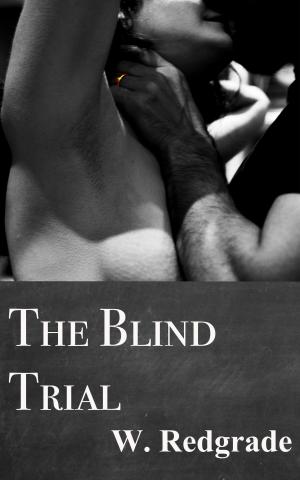 Cover of The Blind Trial