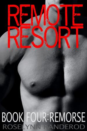 Cover of the book Remote Resort: Book Four : Remorse by Conny van Lichte