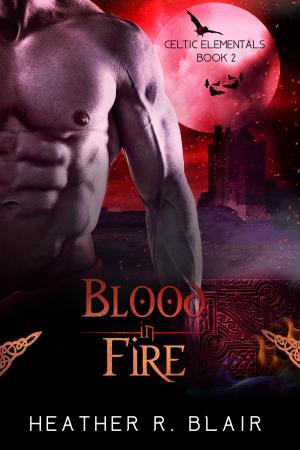 Cover of the book Blood In Fire by S.E. Isaac
