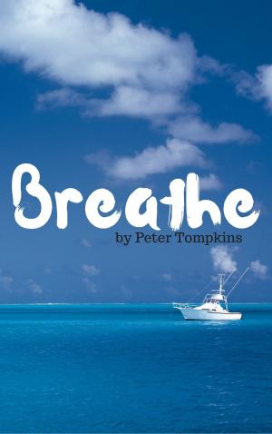 Book cover of Breathe -John Lennon- Conspiracy To Murder