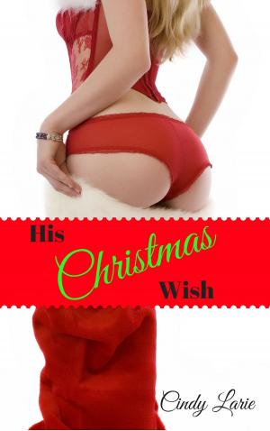 Cover of the book His Christmas Wish by Cindy Larie