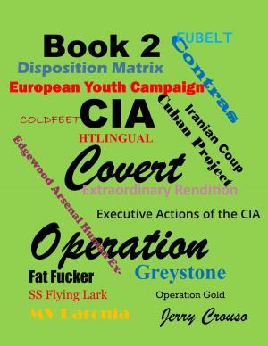 Cover of the book Book 2 CIA Covert Operations by Pierre-Henri Vannieuwenhuyse