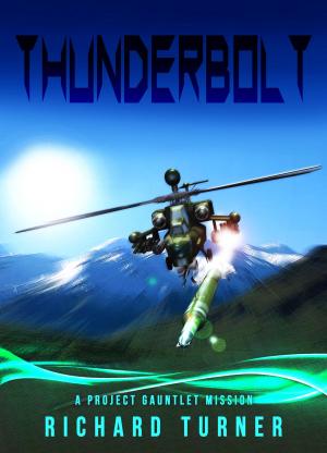 Cover of the book Thunderbolt by Richard Turner