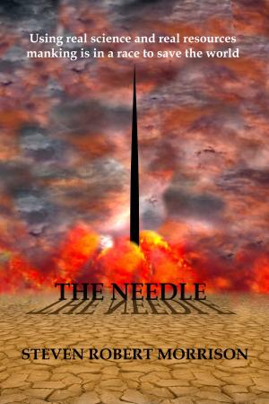 Book cover of The Needle