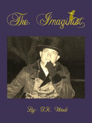 Book cover of The Imaginist (Collection)