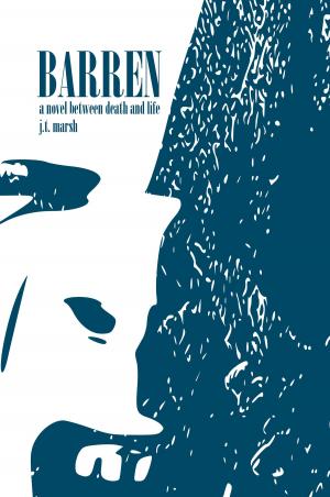 Cover of the book Barren: A Novel Between Death and Life by S.R. Buckel