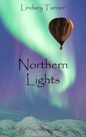 Cover of the book Northern Lights by Barry Blumenfeld