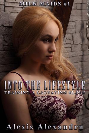 Cover of the book Into the Lifestyle by Attero