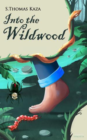Book cover of Into the Wildwood