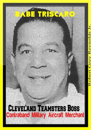 Cover of the book Babe Triscaro Cleveland Teamsters Boss Contraband Military Aircraft Merchant by Robert Grey Reynolds Jr