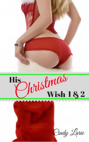 bigCover of the book His Christmas Wish 1 & 2 by 
