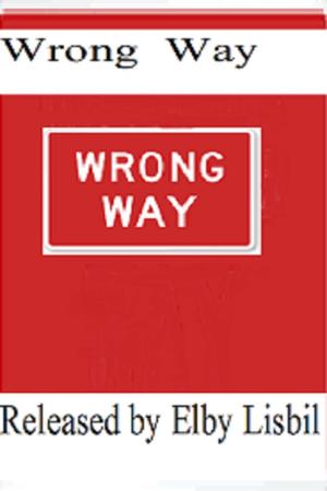 Cover of the book Wrong Way. . . by Elby Lisbil
