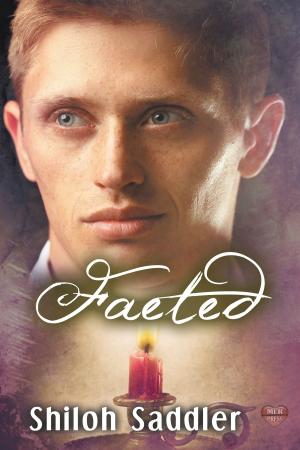 Cover of the book Faeted by AKM Miles