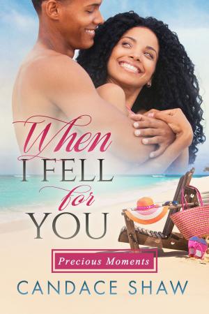 Cover of the book When I Fell for You by SM Johnson