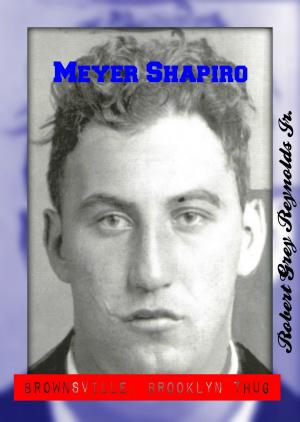 Cover of the book Meyer Shapiro Brownsville, Brooklyn Thug by Robert Grey Reynolds Jr