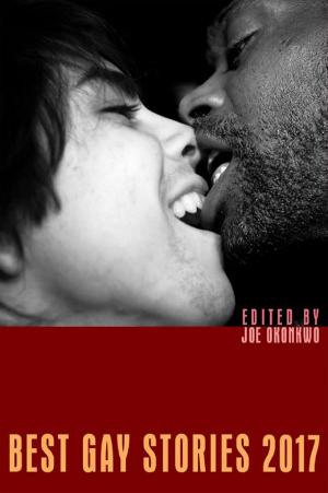 Cover of the book Best Gay Stories 2017 by Redfern Jon Barrett