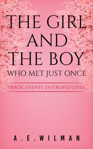 Cover of the book The Girl And The Boy Who Met Just Once by Carmen Richter