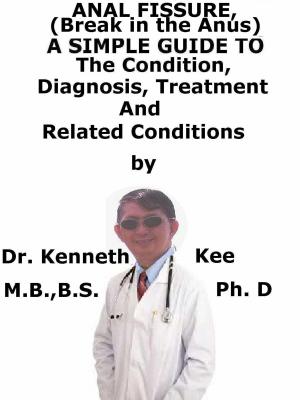 Cover of the book Anal Fissure, (Break in the Anus) A Simple Guide To The Condition, Diagnosis, Treatment And Related Conditions by Kenneth Kee