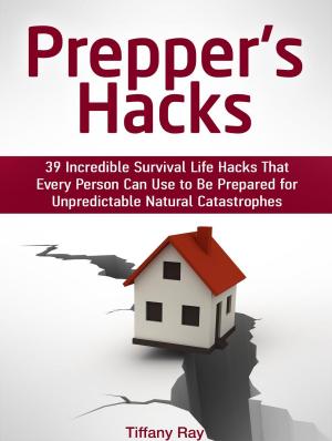 Cover of the book Prepper's Hacks: 39 Incredible Survival Life Hacks That Every Person Can Use to Be Prepared for Unpredictable Natural Catastrophes by 