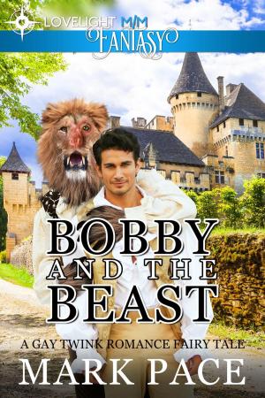 Book cover of Bobby and the Beast: A Gay Twink Romance Fairy Tale