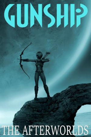 Book cover of Gunship: The Afterworlds