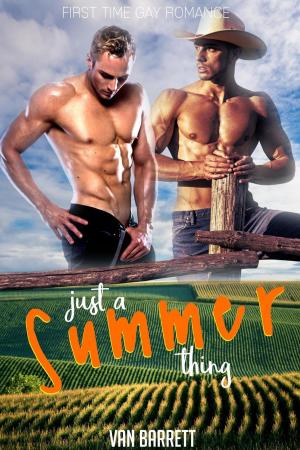 Cover of Just a Summer Thing (First Time Gay Romance)