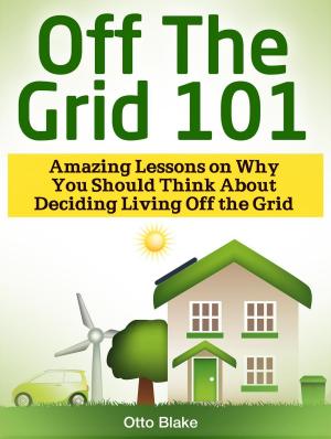 Cover of the book Off The Grid 101: Amazing Lessons on Why You Should Think About Deciding Living Off the Grid by Katie Brook