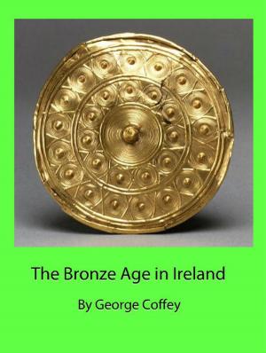 Cover of the book The Bronze Age in Ireland by Michael Caputo
