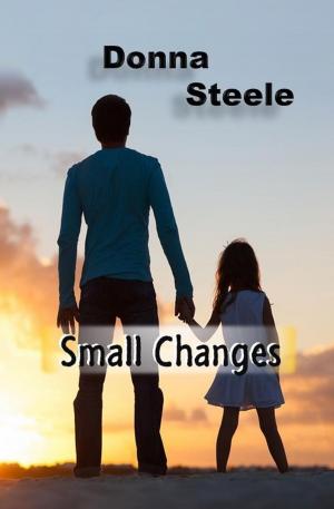 Cover of Small Changes