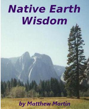 Book cover of Native Earth Wisdom