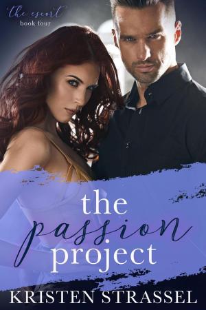 Book cover of The Passion Project