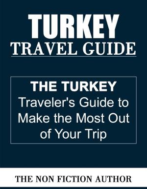 Book cover of Turkey Travel Guide